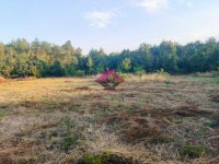 Nekretnina: Velika Ivanča, dve parcele površine 62 ara, deljivo, građevinsko zemljište ID#1434