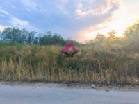 Nekretnina: Kosmaj, plac 11.72 ara, ostalo građevinsko zemljište u svojini ID#1432