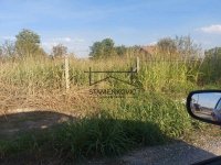Nekretnina: Odličan plac u Veterniku - front 26m ID#6671