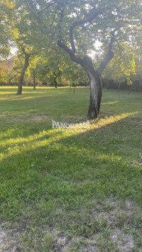 Nekretnina: Jajinci plac od 6.15 ari u građevinskom području ID#3155