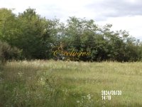 Nekretnina: Mala ivanča ID#1283