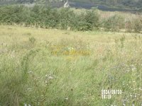 Nekretnina: Mala ivanča ID#1283