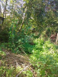 Nekretnina: Na prodaju plac u Niskoj Banju ID#2173