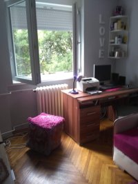 Nekretnina: Dvosoban stan, NOVI SAD, DETELINARA