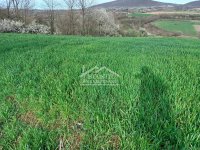 Nekretnina: Sopot - Rogača - 170.85 ari ID#23854