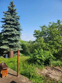 Nekretnina: Plac na Fruškoj gori - Banstol ID#1479