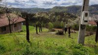 Nekretnina: Prodajem plac Uzice