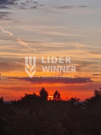 Nekretnina: Izuzetna prilika ID#130075