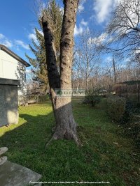 Nekretnina: SAVSKI VENAC Suvoborska ID: 7897