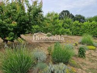 Nekretnina: Plac na Tresijama, Kosmaj, Sopot ID#2125