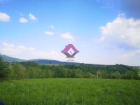 Nekretnina: Sopot, Drlupa, ravan plac u građevinskom području 17098m2, uknjižen ID#1478