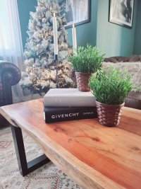 Nekretnina: Četvorosoban stan, NOVI SAD, TELEP