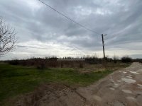 Nekretnina: Smederevo - Carina - 27.89a ID#24057