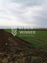 Nekretnina: Plac, Surcin, gradjevinska zona, 97,65ari ID#132076