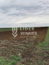 Nekretnina: Plac, Surcin, gradjevinska zona, 97,65ari ID#132076