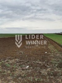 Nekretnina: Plac, Surcin, gradjevinska zona, 97,65ari ID#132076