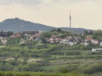 Nekretnina: Prelep Plac u Vrcinu (Avala) Top Lokacija 89 ari