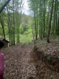 Nekretnina: SOPOT Babe ID: 8391