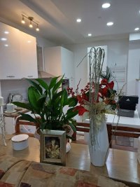 Nekretnina: RAKOVICA Susedgradska ID: 33892