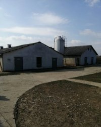 Nekretnina: Farma 3000m2 na 1.5ha