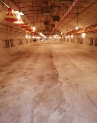 Nekretnina: Farma 3000m2 na 1.5ha