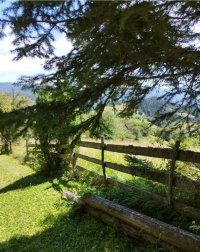 Nekretnina: Plac Zaovine (Tara)