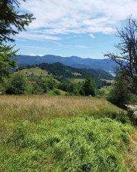 Nekretnina: Plac Zaovine (Tara)