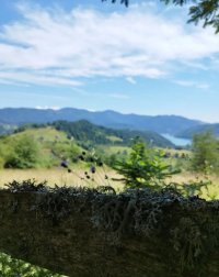 Nekretnina: Plac Zaovine (Tara)