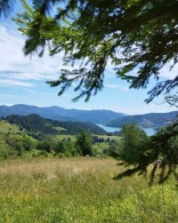 Nekretnina: Plac Zaovine (Tara)
