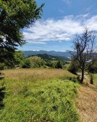 Nekretnina: Plac Zaovine (Tara)