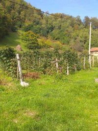 Nekretnina: MALI ZVORNIK Velikorecka ID: 33960