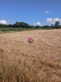 Nekretnina: Sopot, Dučina, ravan plac pored asfaltnog puta, 171ar, uknjižen ID#1493