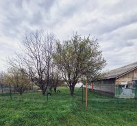Dunav Nekretnine