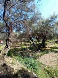 Nekretnina: Herceg Novi, građevinski placevi na 1.7 km od centra