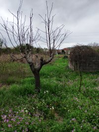 Nekretnina: Prodaja