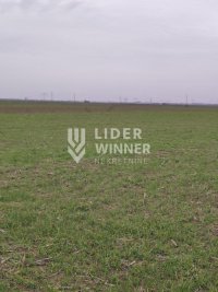 Nekretnina: Plac, Surčin, Jakovo, 329,3 ari ID#132245