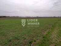 Nekretnina: Plac, Surčin, Jakovo, 329,3 ari ID#132245