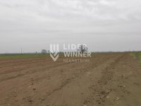 Nekretnina: Plac, Surčin, Jakovo, 329,3 ari ID#132245