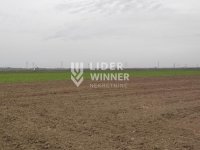 Nekretnina: Plac, Surčin, Jakovo, 329,3 ari ID#132245