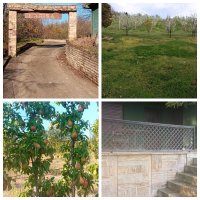 Nekretnina: Vikendica Krcedin-Sl.Vinogradi
