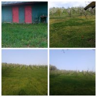 Nekretnina: Vikendica Krcedin-Sl.Vinogradi