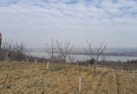Nekretnina: Plac Plavinci-Grocka