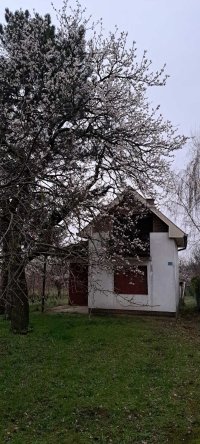 Nekretnina: Vikendica, 45m2, Cortanovci