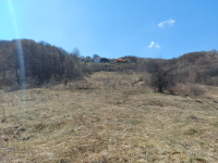 Nekretnina: VLASINSKO JEZERO