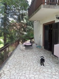 Nekretnina: Avala, kragujevacki put. 200 m2, uknjizena 130.000 e