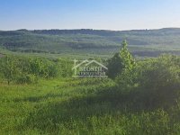 Nekretnina: Grocka - Ritopek - 1ha ID#24199