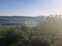 Nekretnina: Grocka - Ritopek - 1ha ID#24199