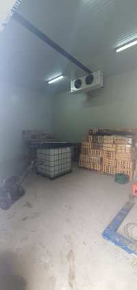 Nekretnina: PRODAJA IMANJA, PLANTAŽA BOROVNICE I TREŠANJA