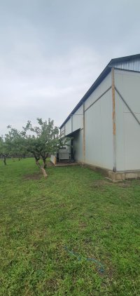Nekretnina: PRODAJA IMANJA, PLANTAŽA BOROVNICE I TREŠANJA