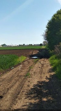 Nekretnina: ZEMUN Anete Andrejevic ID: 34559